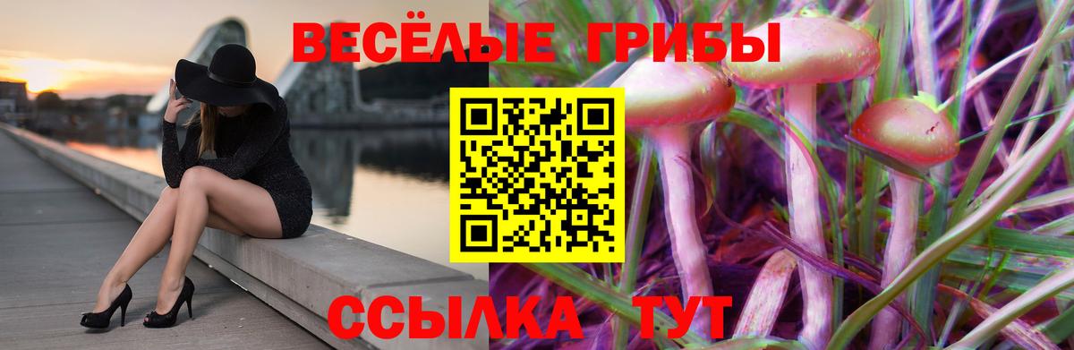 Балашов  Галлюциногенные грибы мицелий  Вход с VPN 